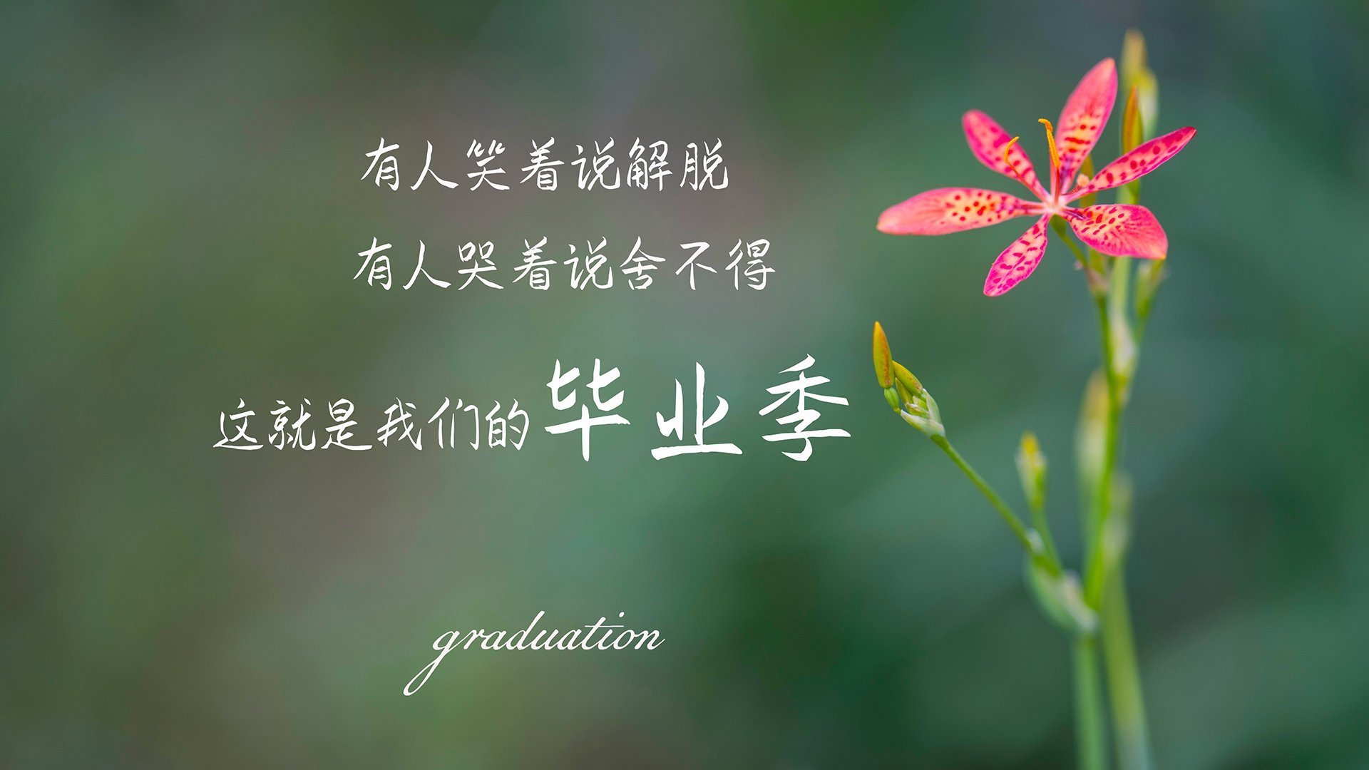 中国棒球、篮球双料联动发展，体育多元化趋势明显，中国棒球现状