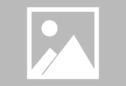 _猛龙队韧性十足，逆转战局赢得胜利_，猛龙队出场介绍