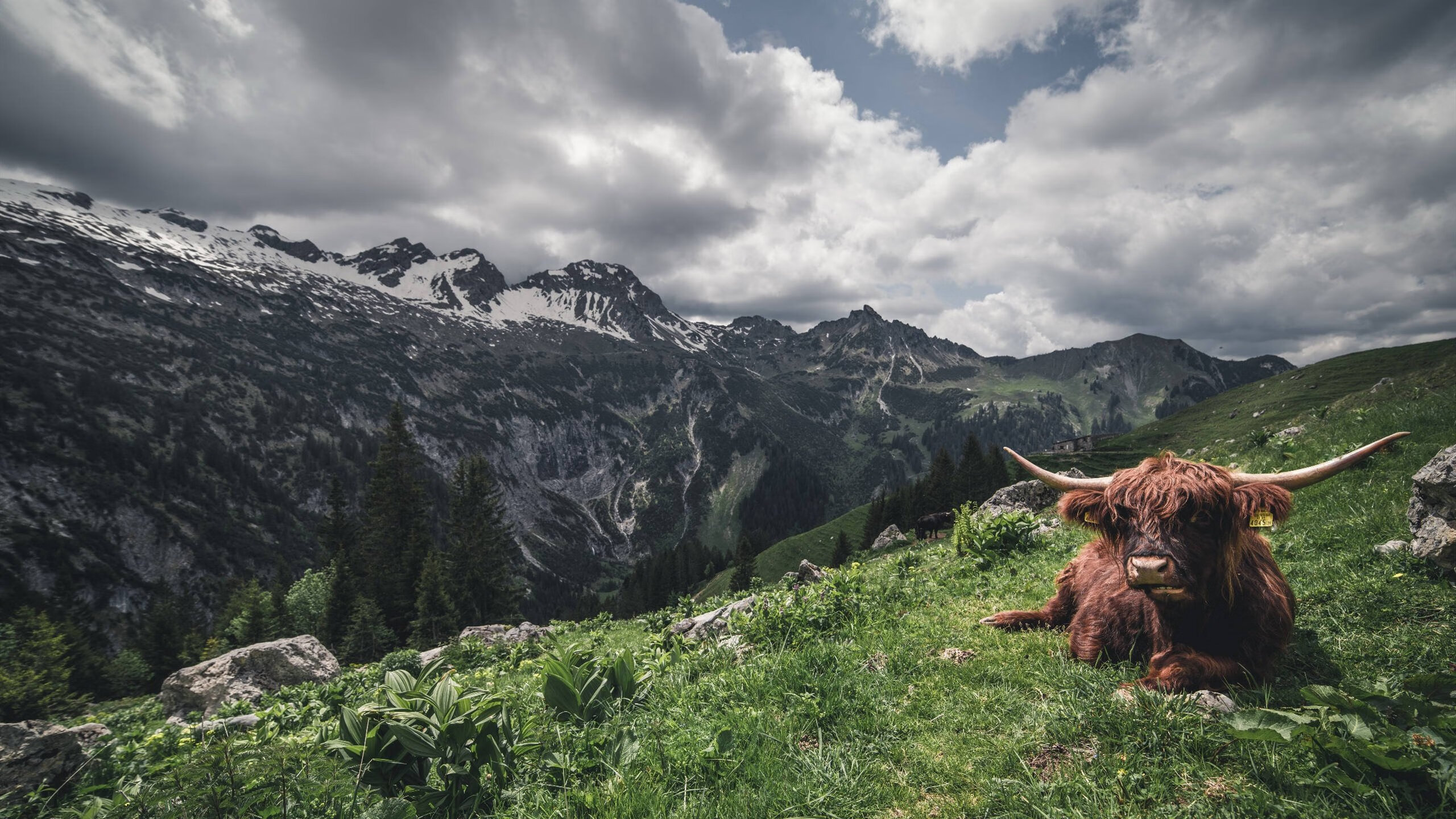 _老将经验显威,奇才稳步前行_,经验丰富的老将