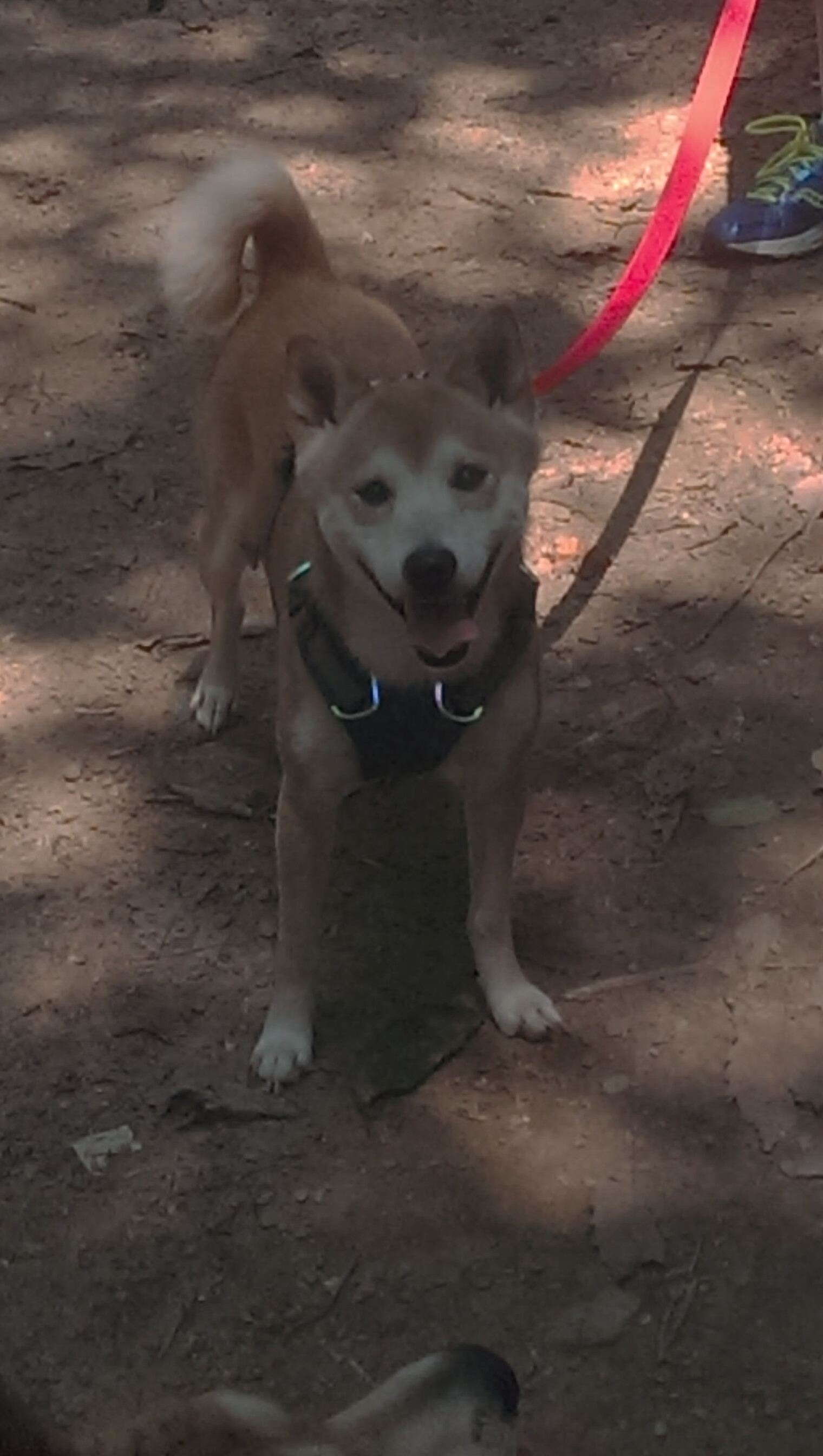 _网球俱乐部创新:虚拟现实体验引领潮流_,网球俱乐部宗旨