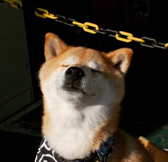 《多国战队的文化碰撞:跨文化交流的火花》