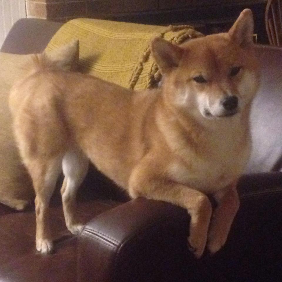 全国青少年“篮球文化节”在昆明跨界融合,推广多元体育文化,昆明青少年篮球训练营