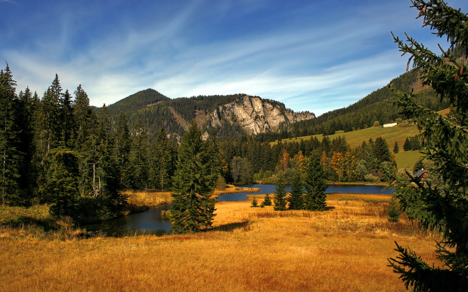 广场舞比赛吸引大量观众参与，广场舞比赛吸引大量观众参与怎么形容